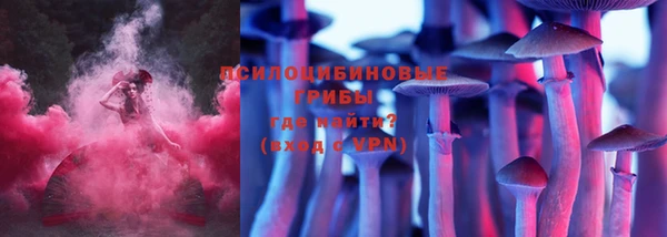 mdpv Богородск